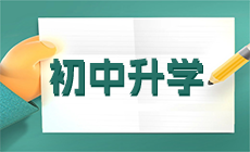 四川省2024年艺术体育专业统考报名考试指南 （含对口招生文化艺术类）